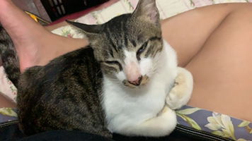 M.Jul.n profile icon