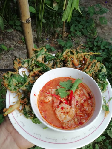 แม่ๆบ้านไหนท้องแก่แต่ยังทำกับข้าวทุกวันบ้างคะ