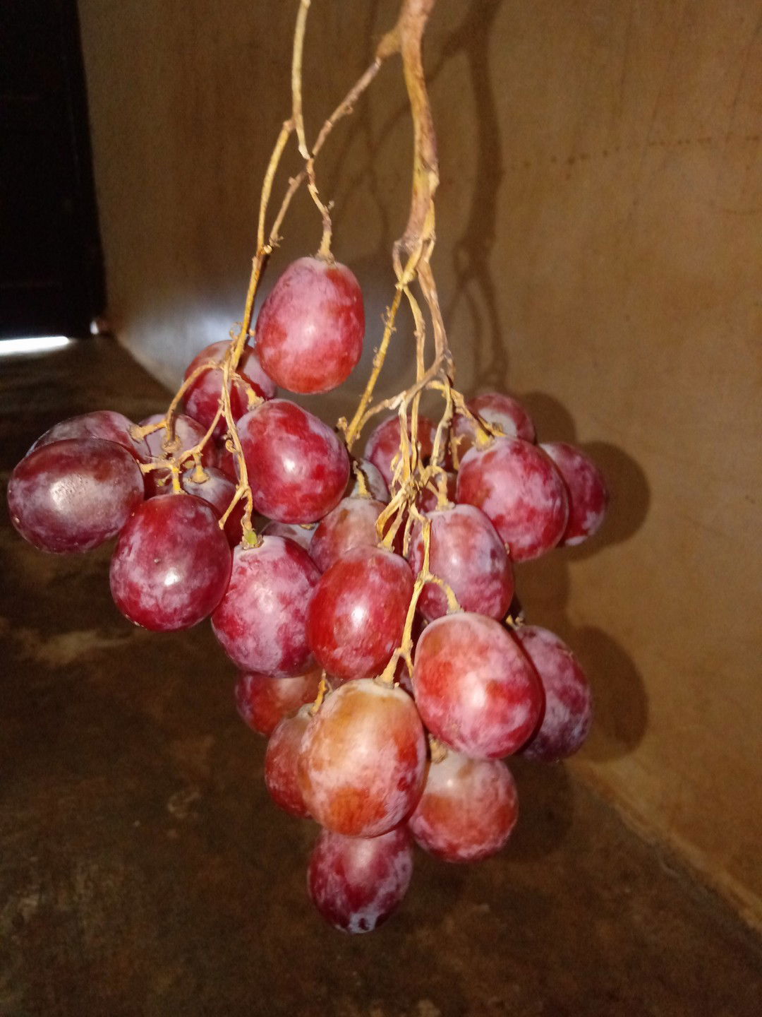 Muliani Muliani profile icon