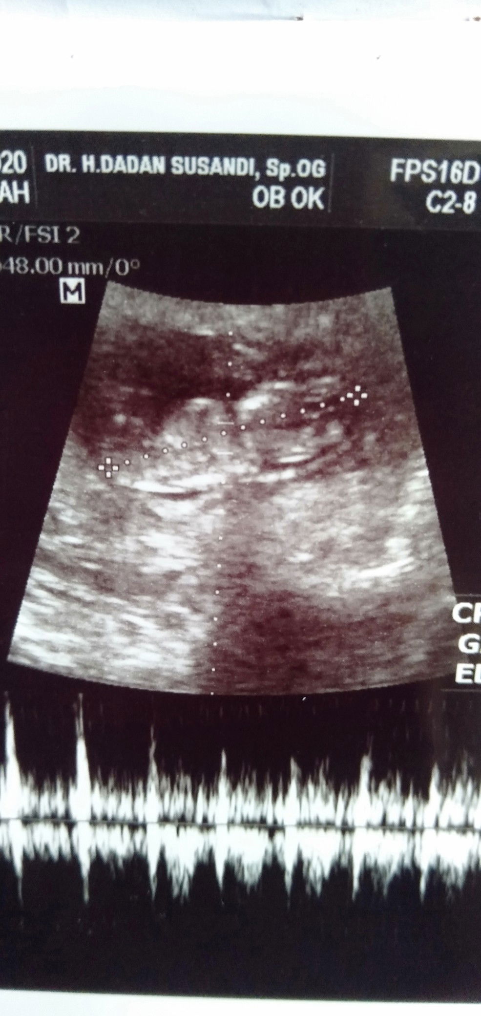 Sopiahspd profile icon