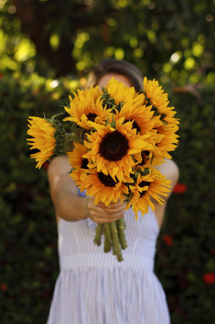 Amoreiza07 profile icon