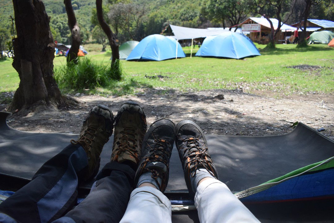 Nia Kurniati profile icon