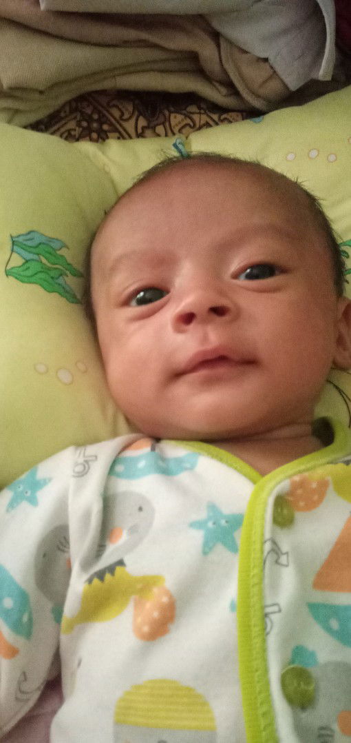 Aryan Irsyad profile icon