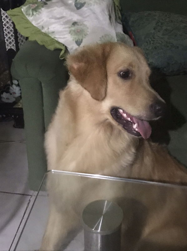 Angelica Deslate profile icon