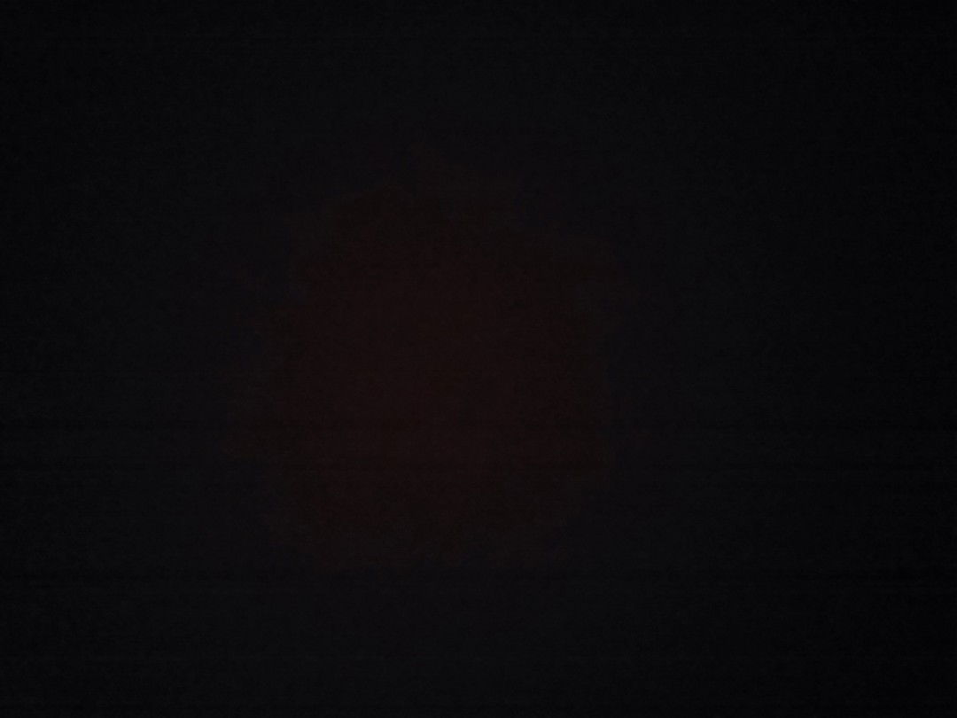 sellynv profile icon