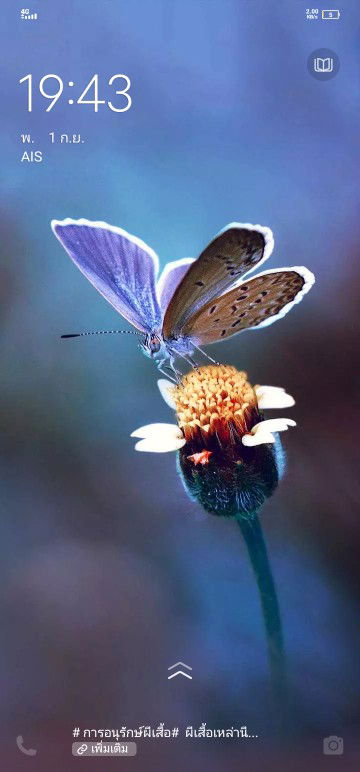 นูรอาไลลา ยูโซ๊ะ profile icon