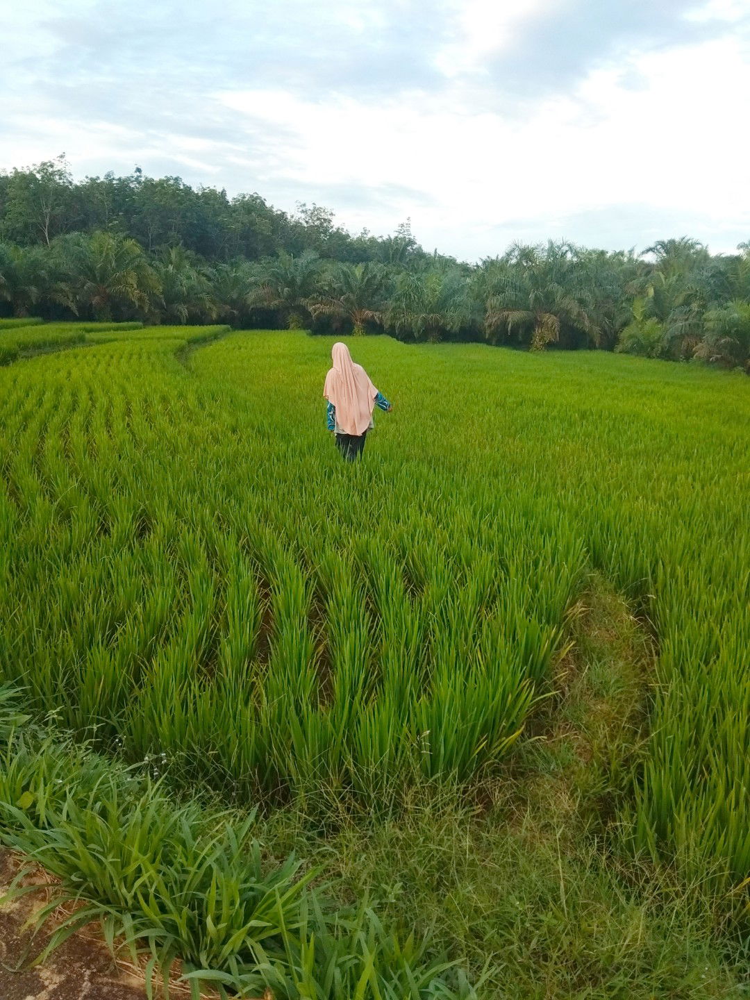 Siti Mardianti profile icon