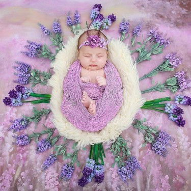 Destyanastasya Auliya profile icon