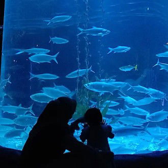 Tika Mustika profile icon