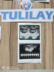 Tuliloy profile icon