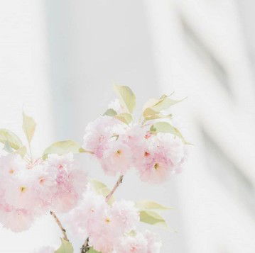 lestari profile icon