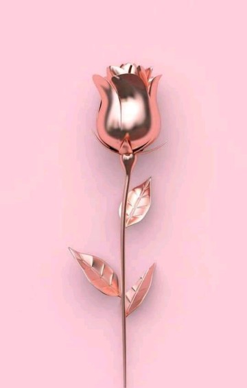 Eina profile icon