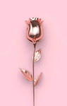 Eina profile icon