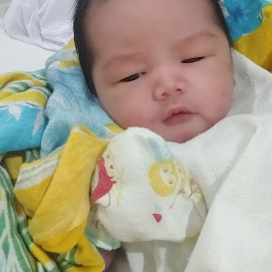 Rosmanita profile icon