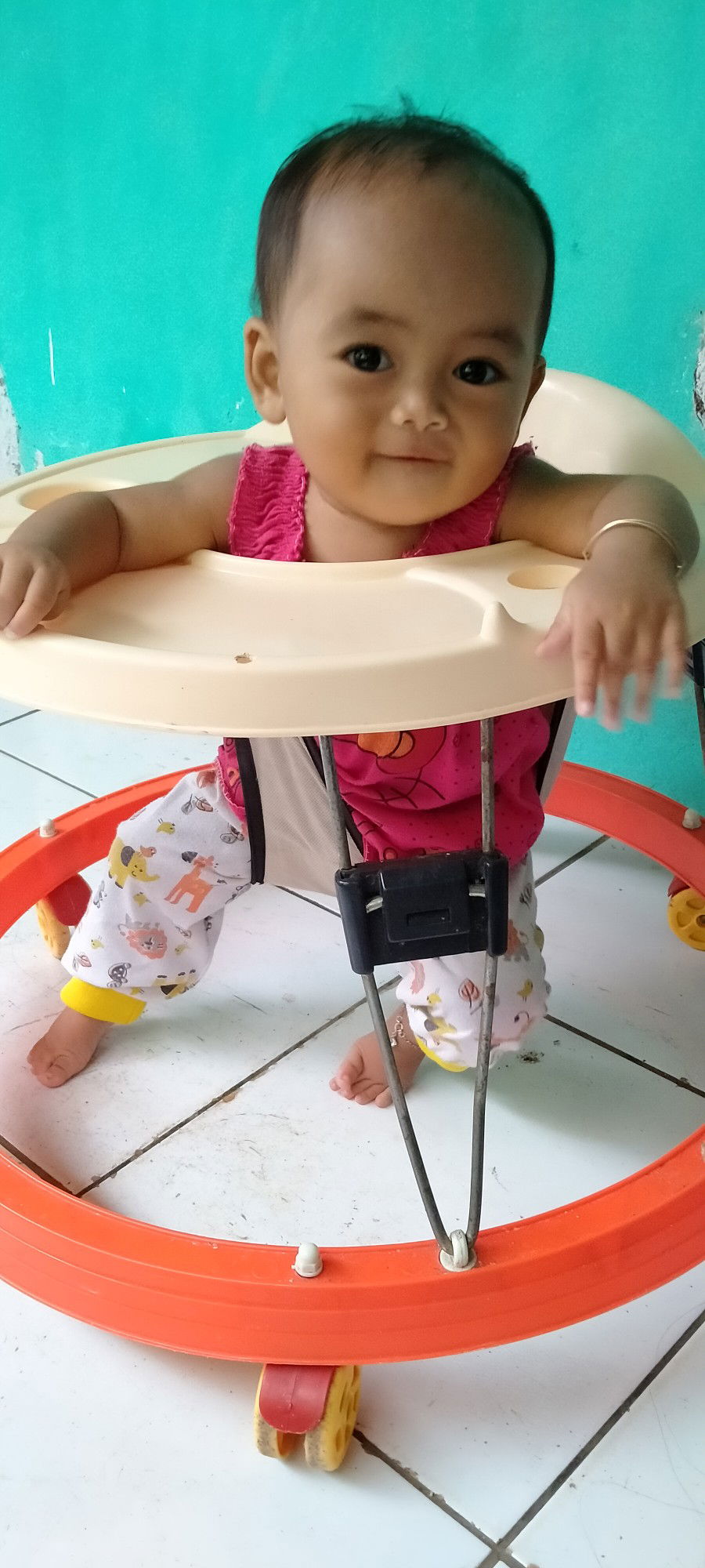 bayi dan baby walkernya