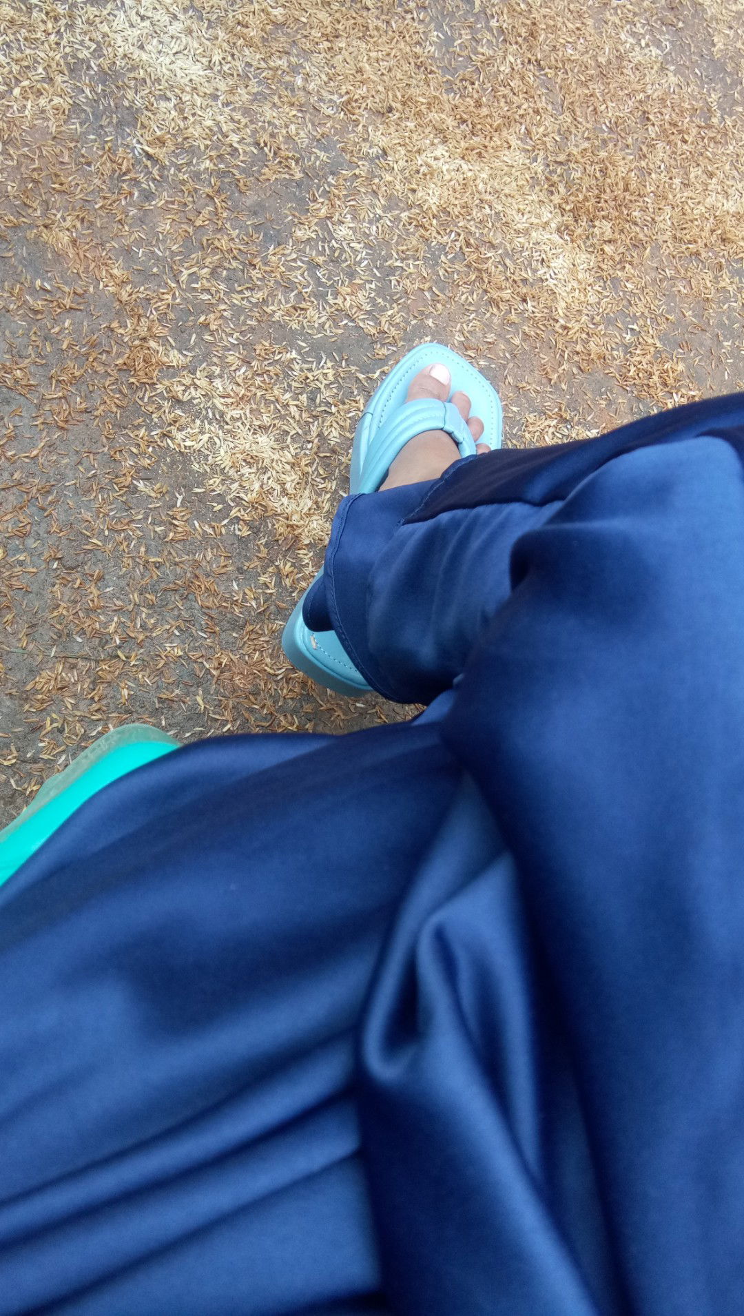 miidas28 profile icon