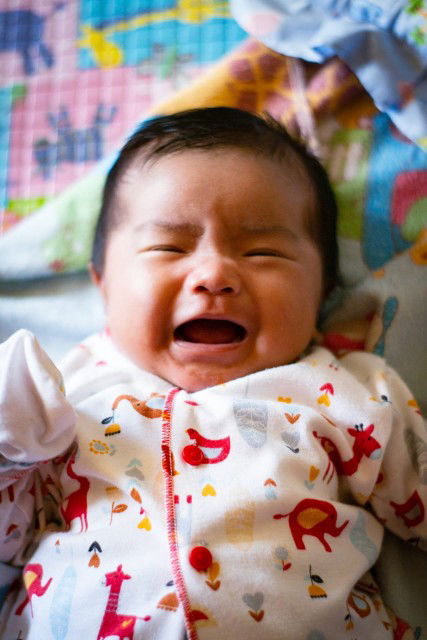 Tanisha Nindi Guwinandita profile icon