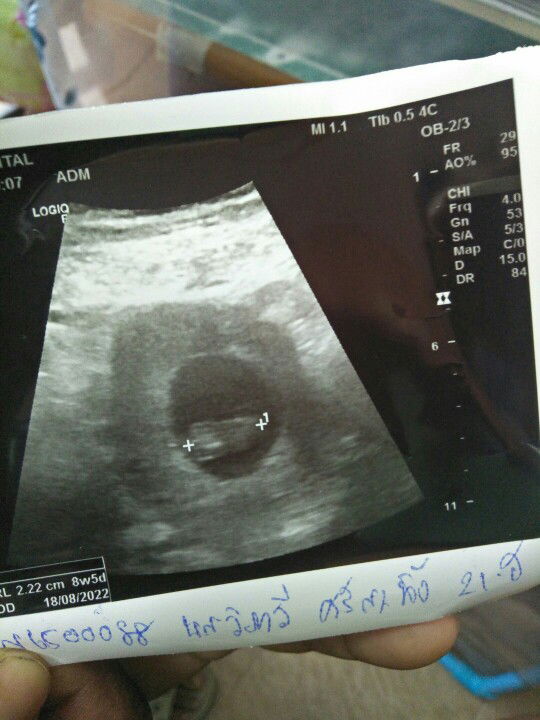 วิภาวี ชูกลิ่น profile icon