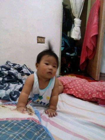 meryldacibar profile icon