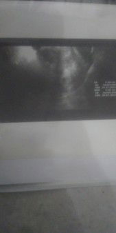 Mihrain profile icon