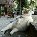 Widi Astuti Ningsih profile icon