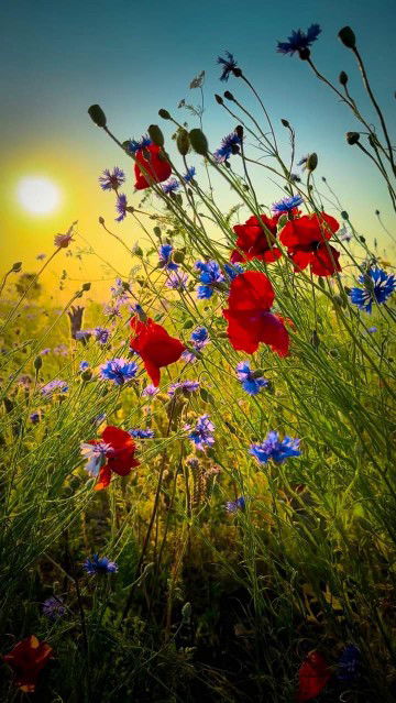 Basariah A R profile icon