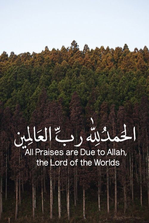Hamba Allah❣️ profile icon