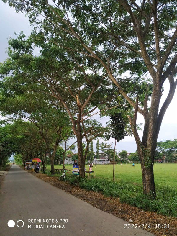 Adinda Pertiwi profile icon