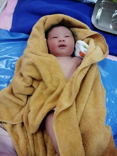 คลอดแล้วจ้า