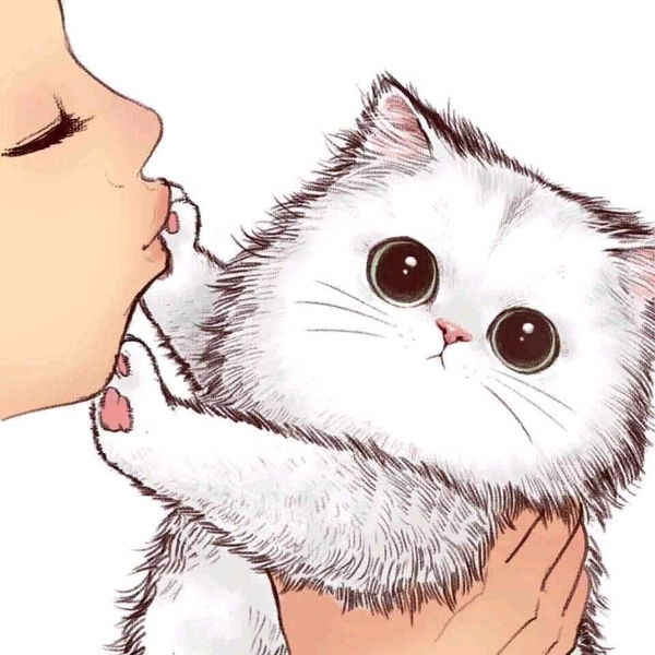 Pattamawan Rukanamai profile icon