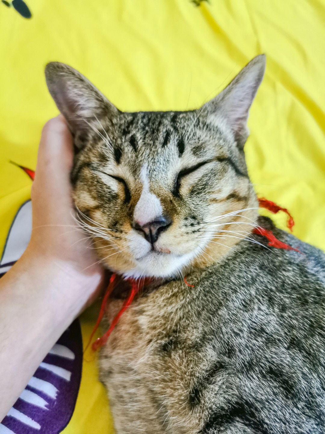 มีนา profile icon