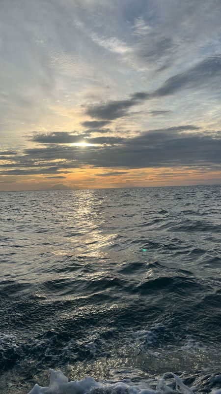 Cut Mutya profile icon