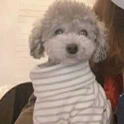 คุณแม่บ้านจีน profile icon