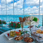 Donna Bargo profile icon