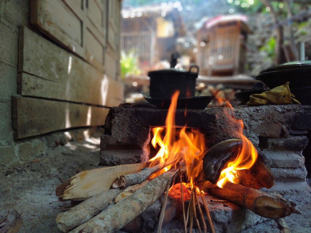 Mommy nta duit profile icon