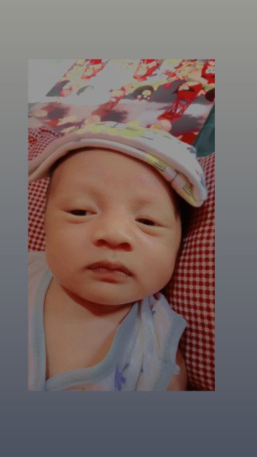 novie aini profile icon
