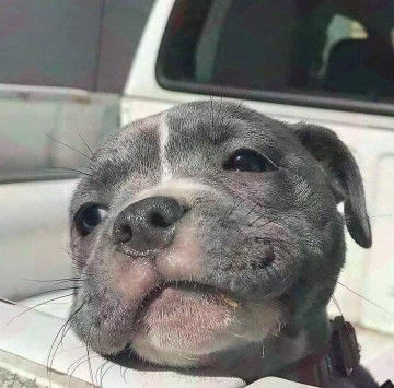 yuwatida profile icon