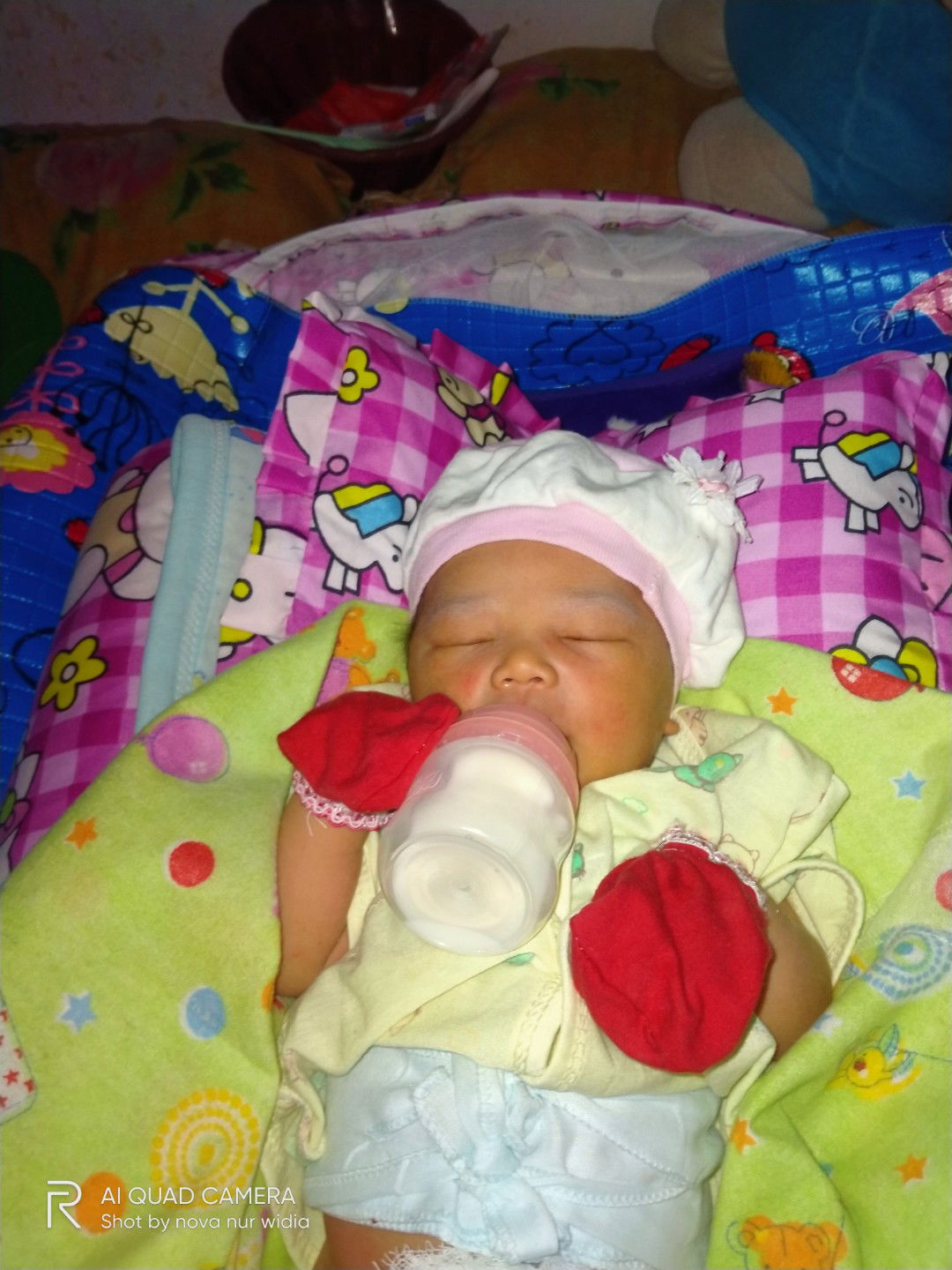 Nova Widia profile icon