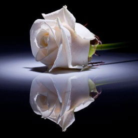 Rachmania Ayu profile icon