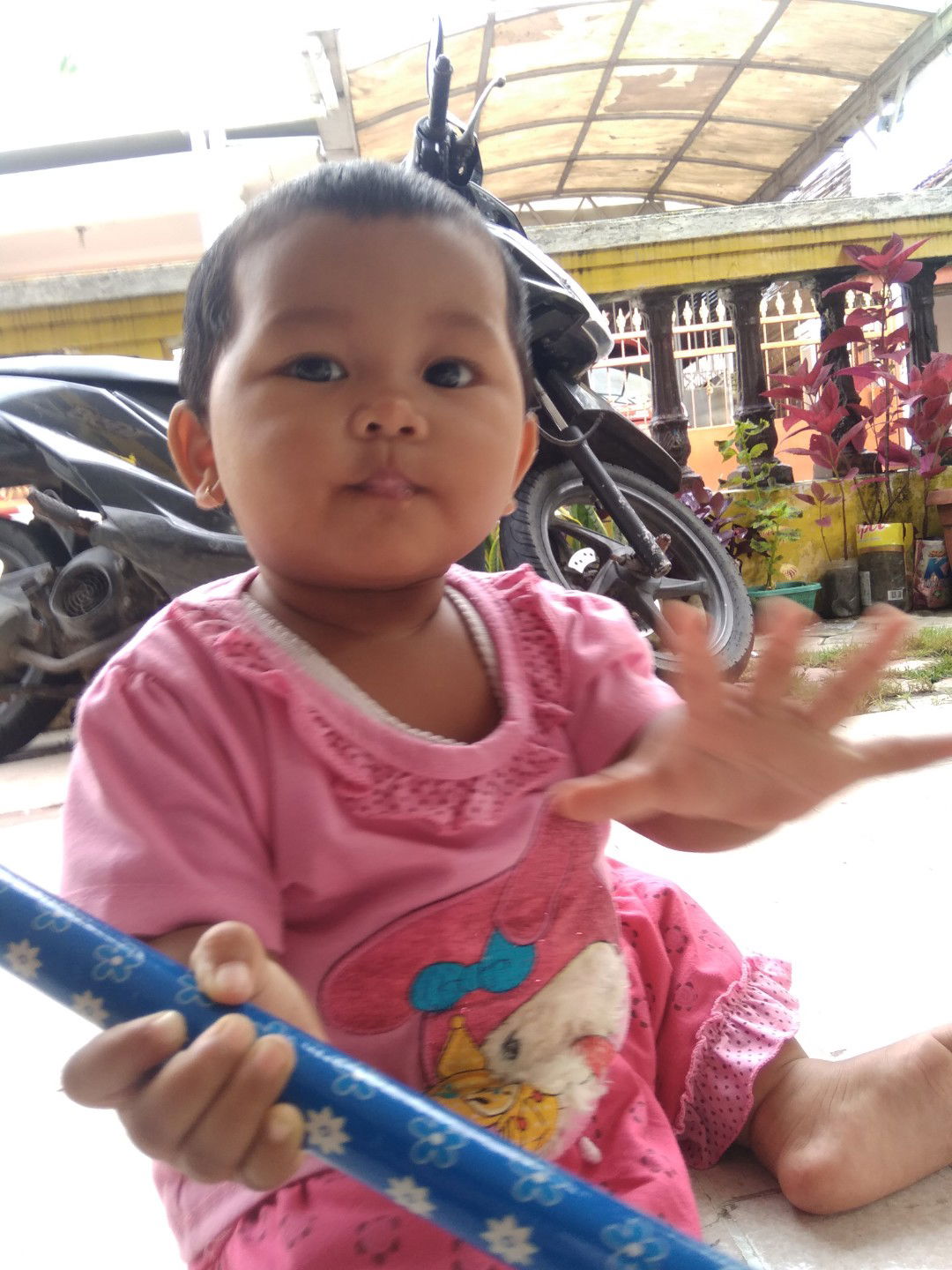 Java Alendist profile icon