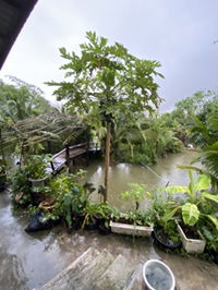 Aun Aun profile icon