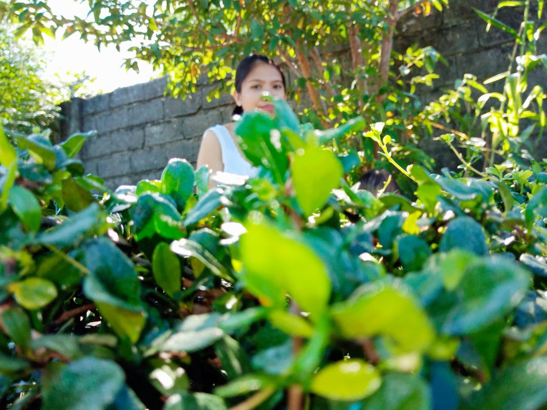 Airra Hernandez profile icon