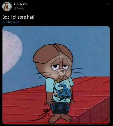 Windi You profile icon