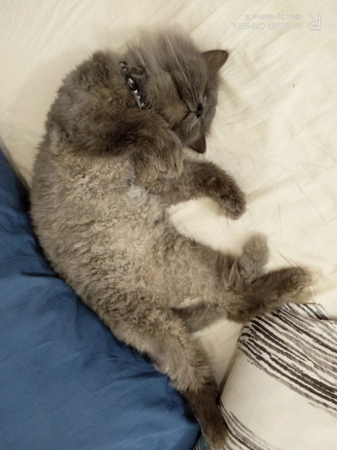 Norashikin Isa profile icon