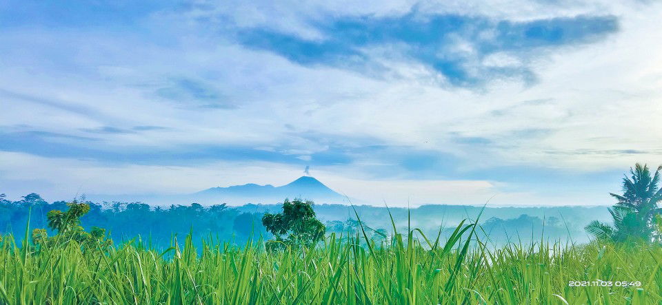 MAMAaci profile icon