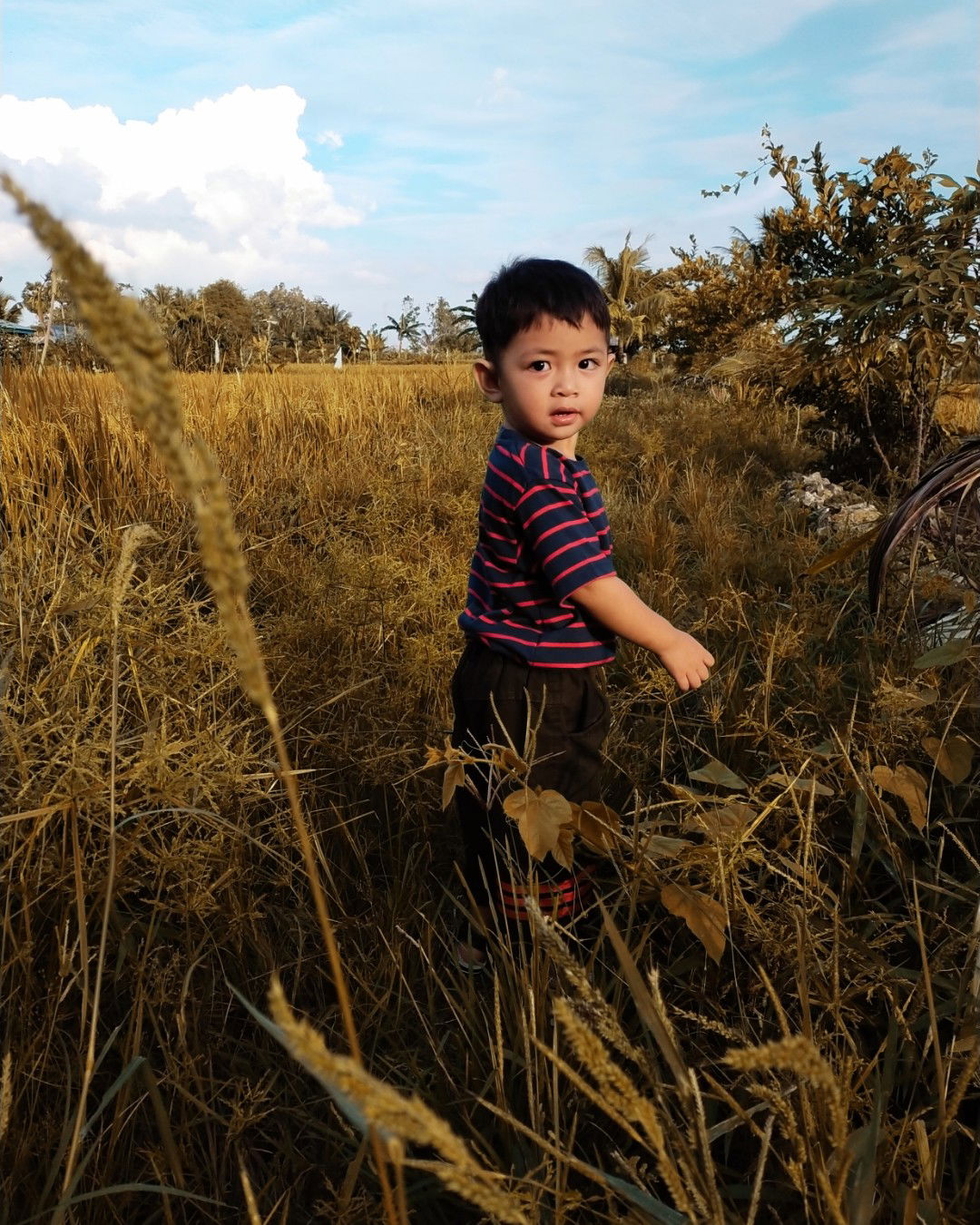 Nursyahidah profile icon