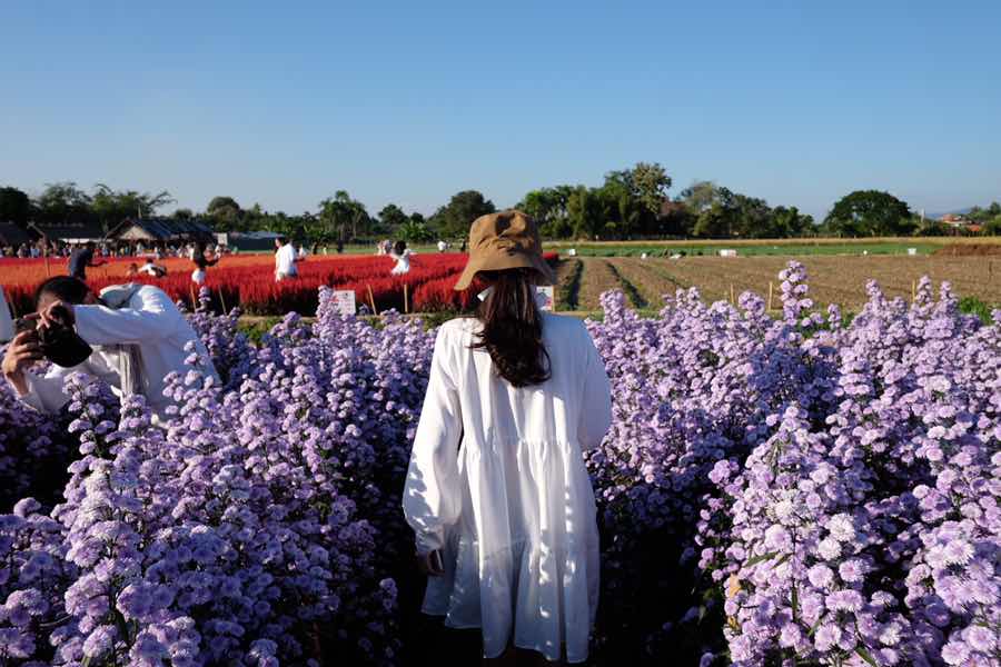 Jingjing profile icon