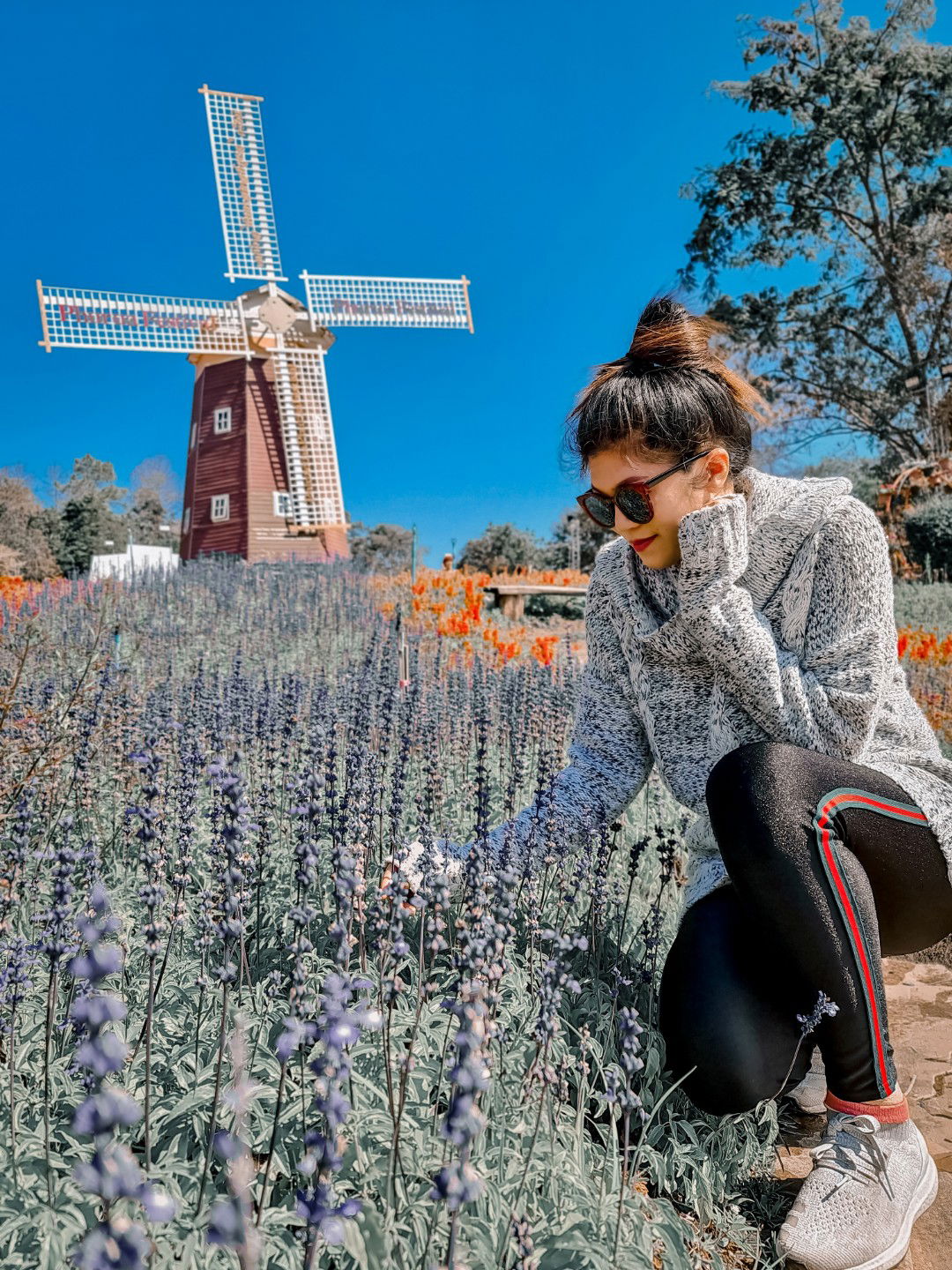 Thitari profile icon