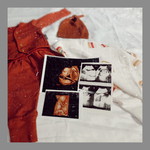 fallah hijab profile icon