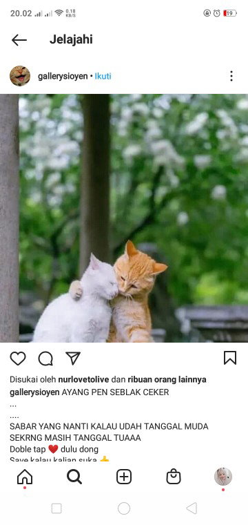 Bunda R profile icon